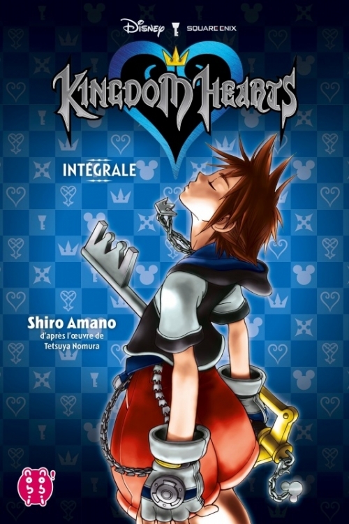 Kingdom Hearts Intégrale book cover