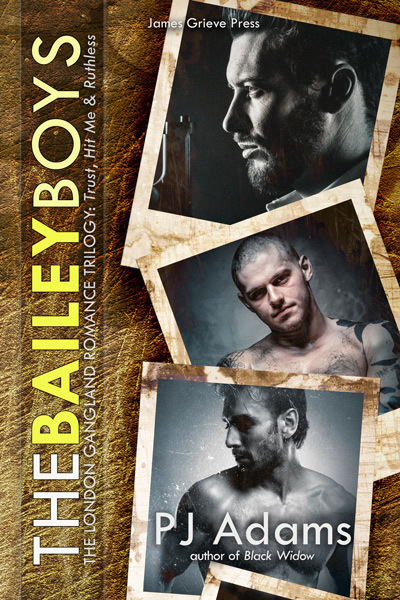 The Bailey Boys book cover