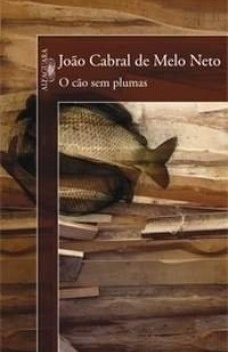 O Cão sem Plumas book cover