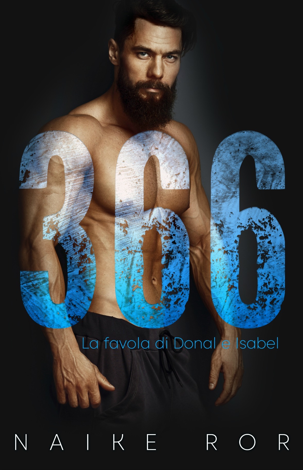 366 book cover