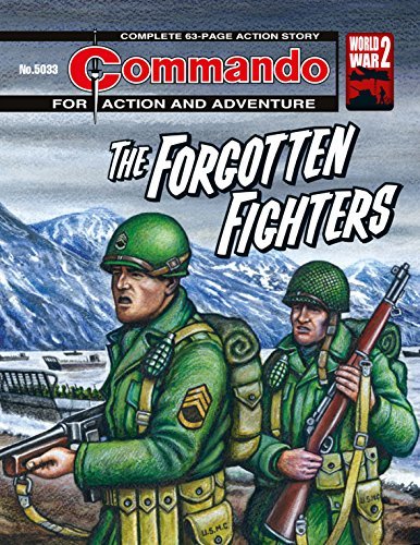 Commando #5033 book cover