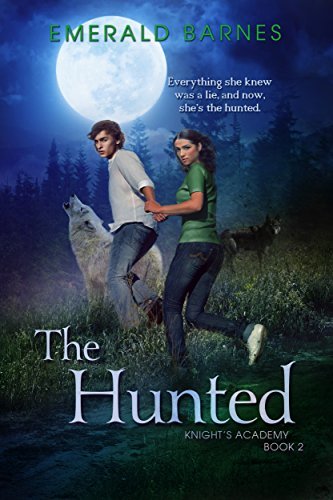 Knight's Academy book cover 2