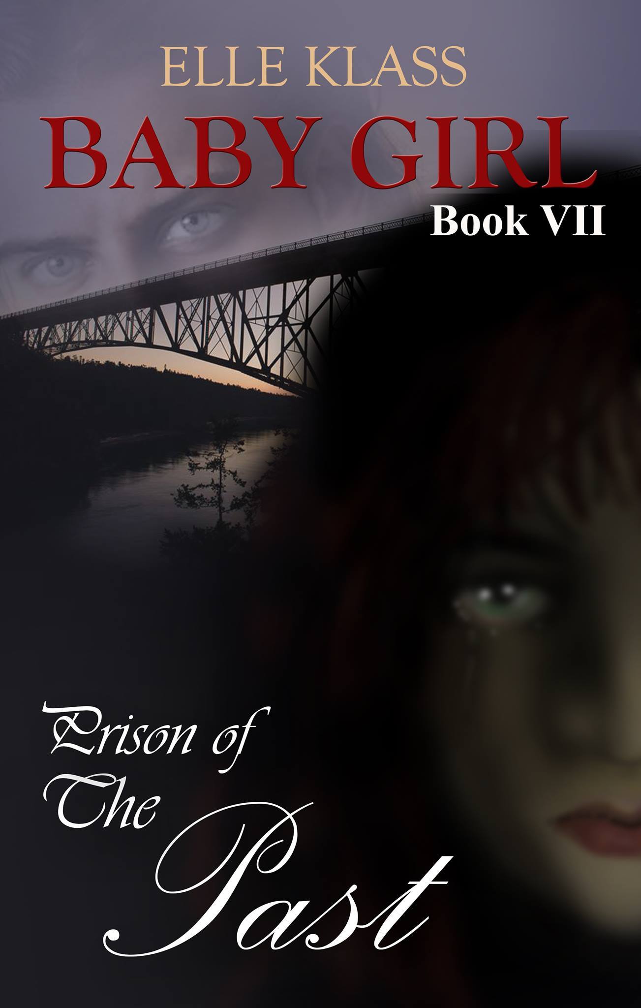 Prison of the Past Baby Girl Book VII book cover