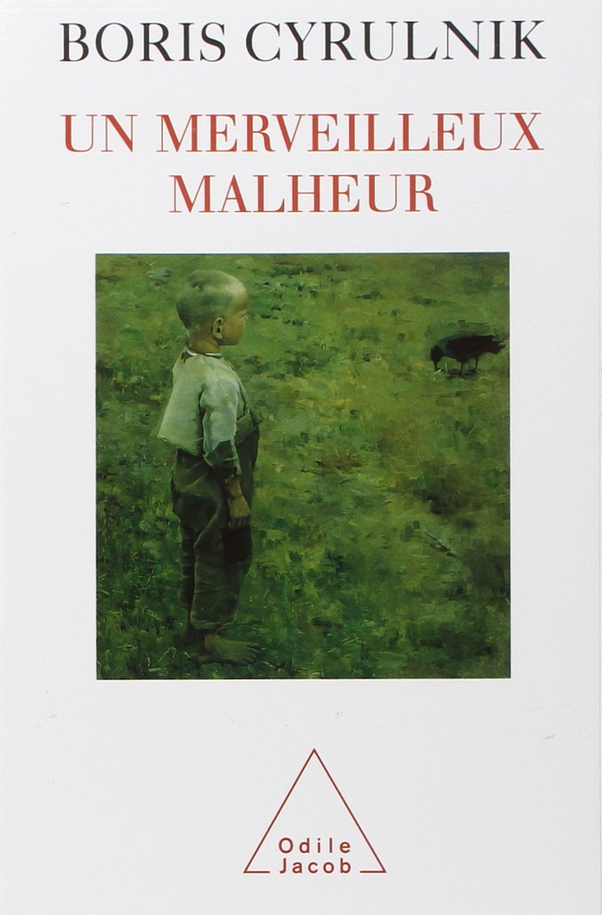 Un merveilleux malheur book cover