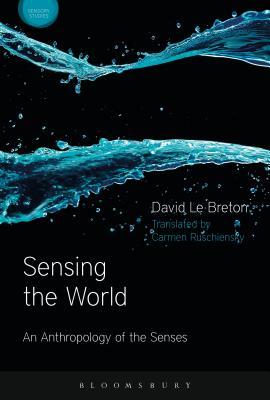 Sensing the World book cover