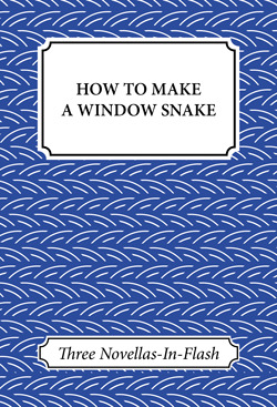How to Make a Window Snake book cover