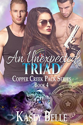 An Unexpected Triad book cover