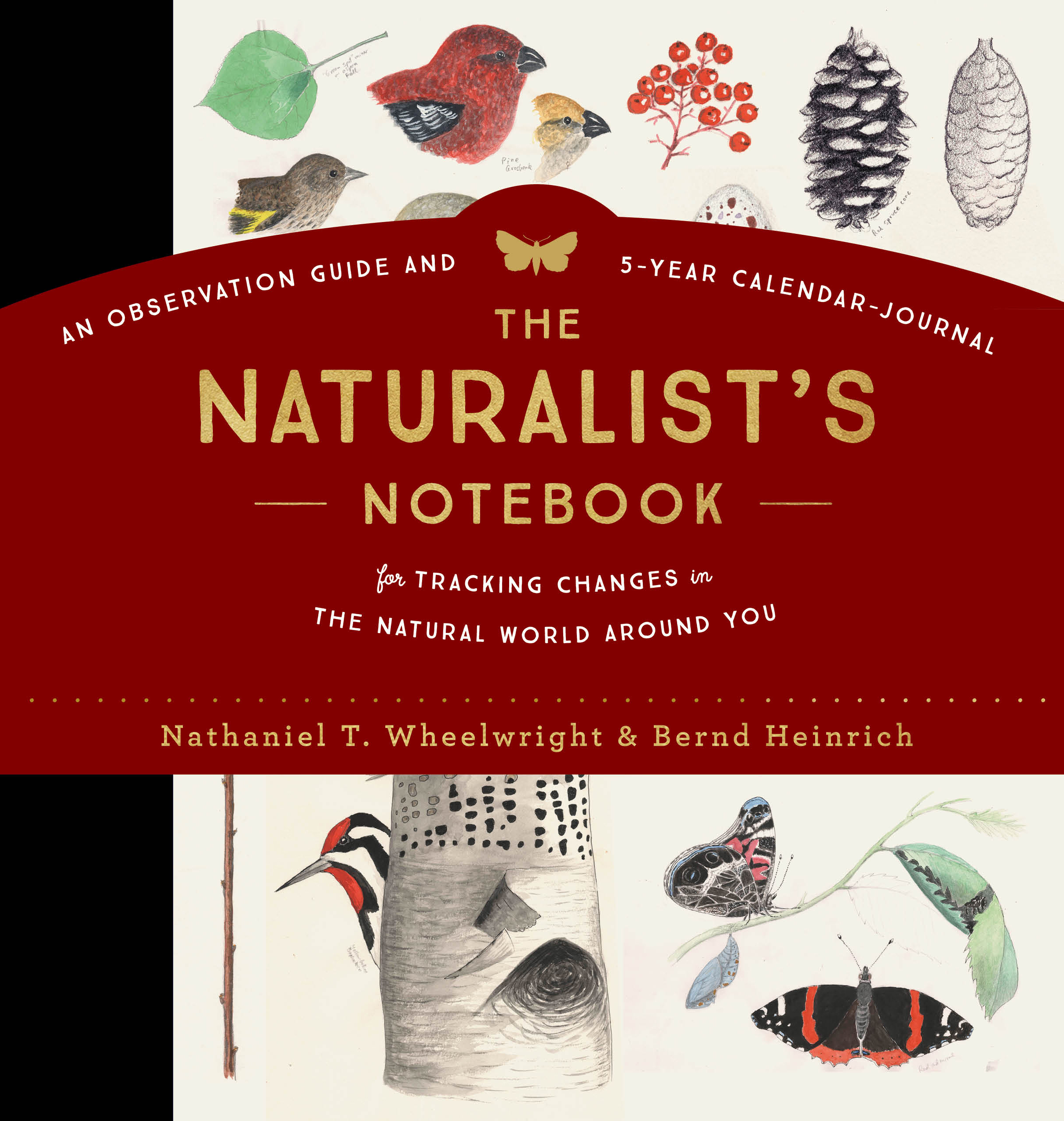 The Naturalist s Notebook An Observation Guide And 5 Year Calendar