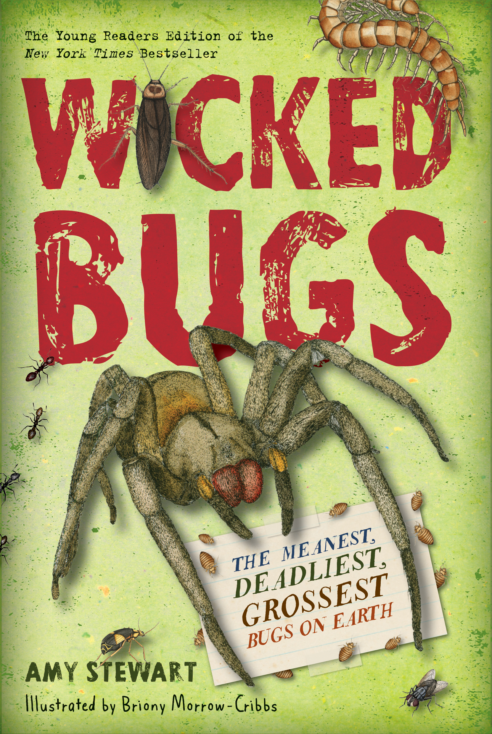 Wicked Bugs book cover