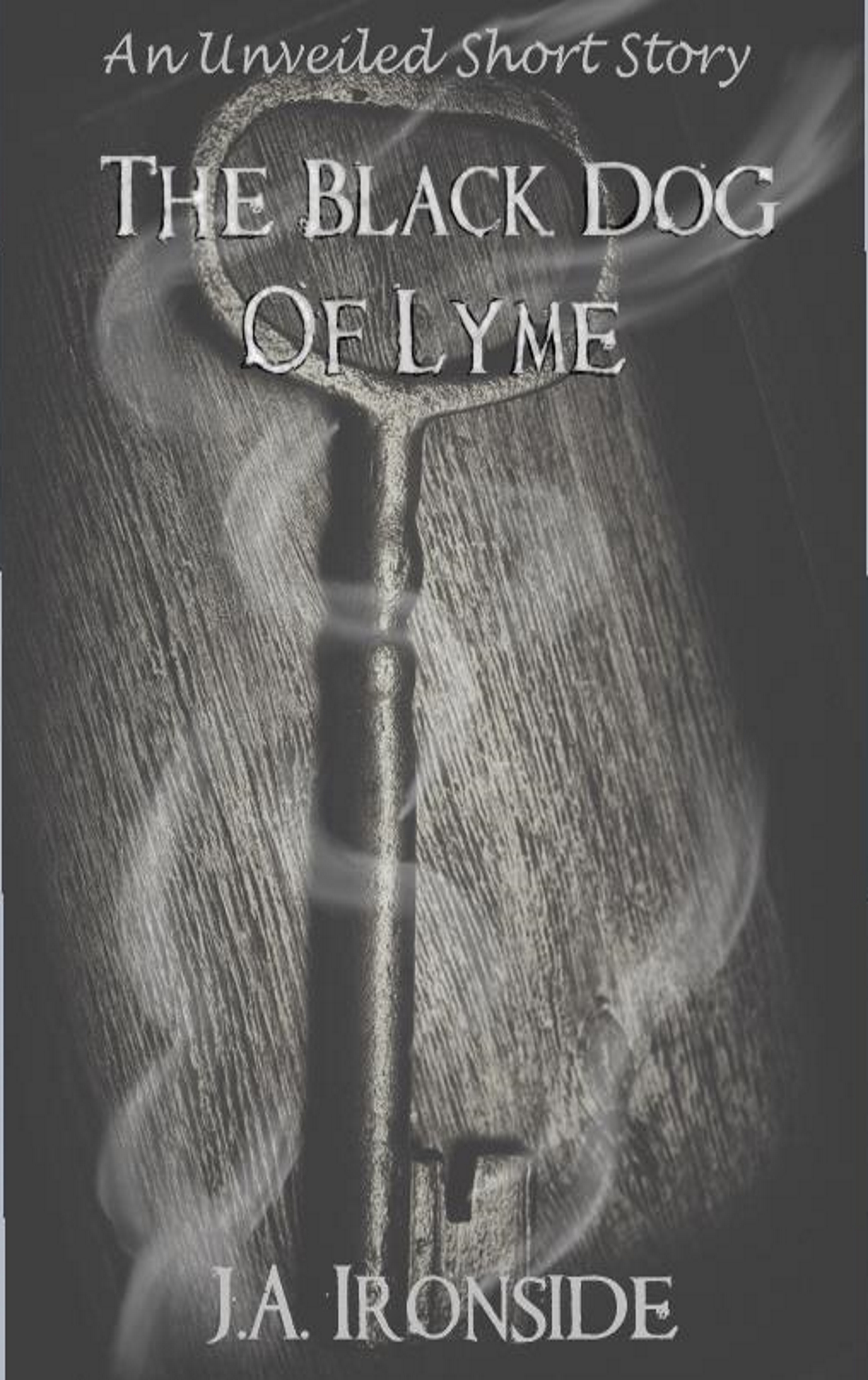 The Black Dog of Lyme book cover