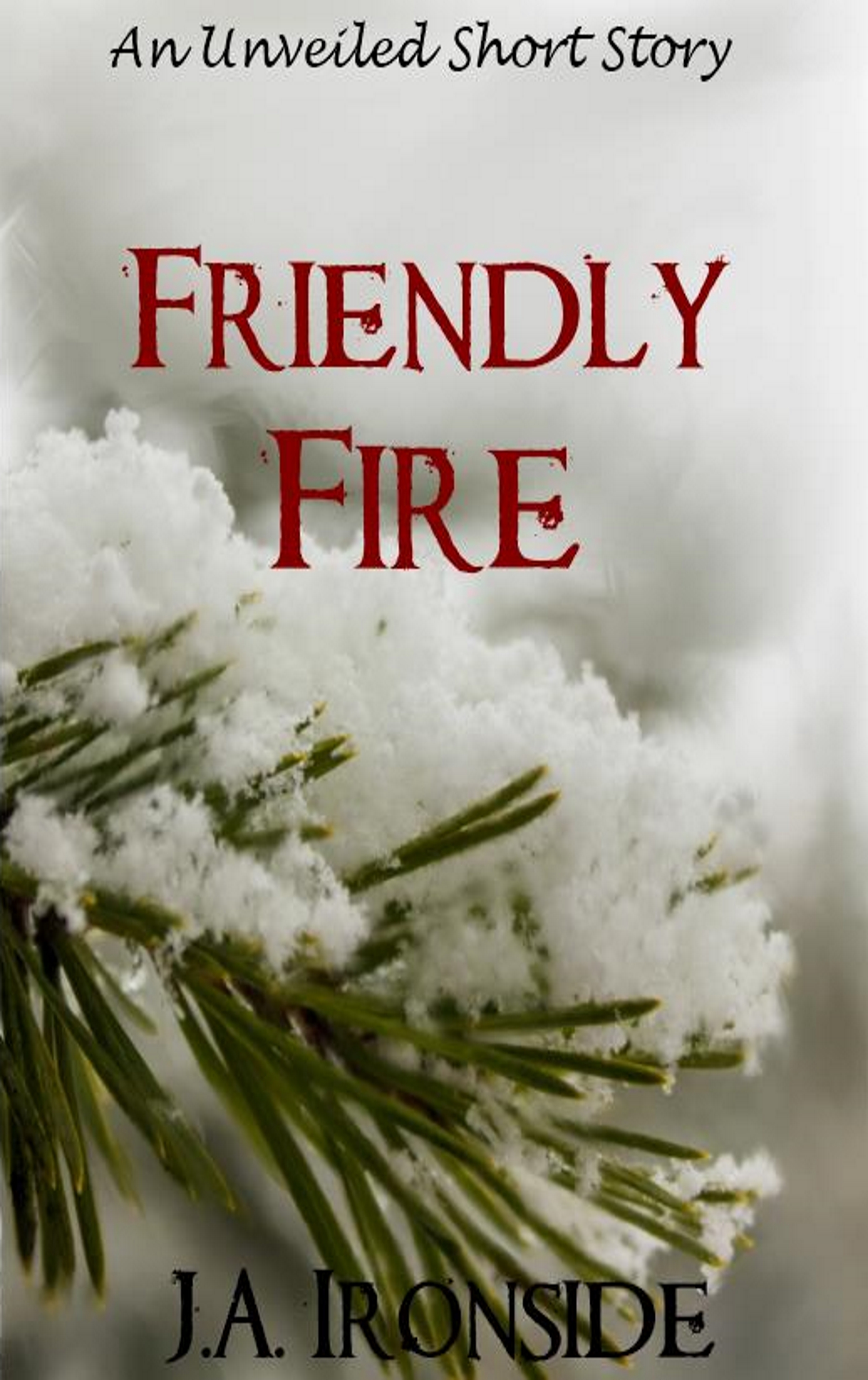 Friendly Fire book cover