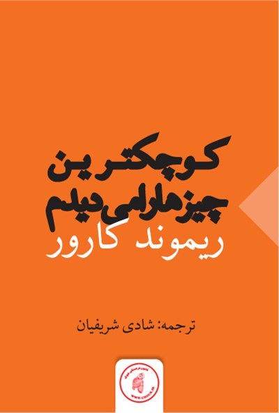 I Could See the Smallest Things book cover