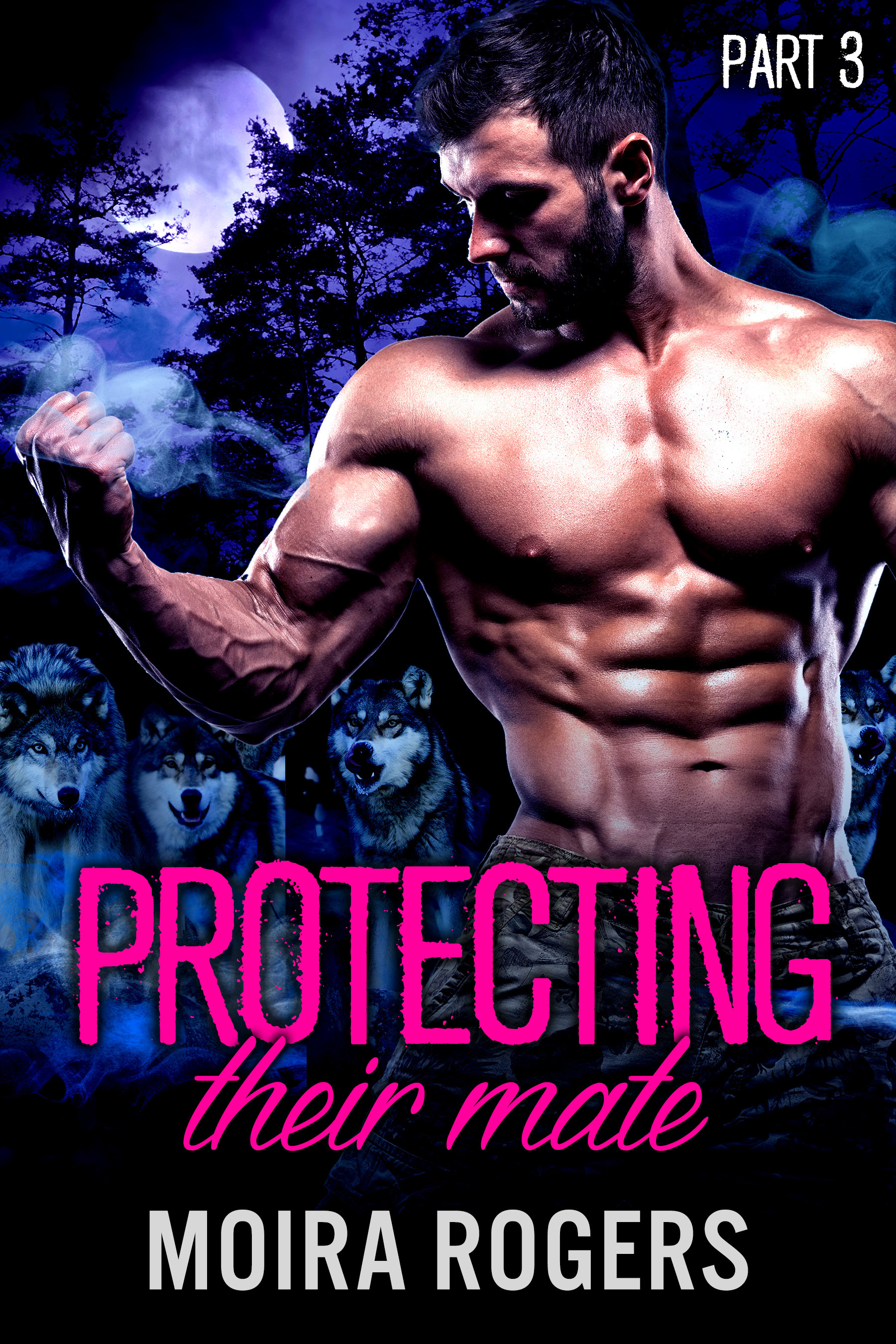 Protecting Their Mate book cover 2