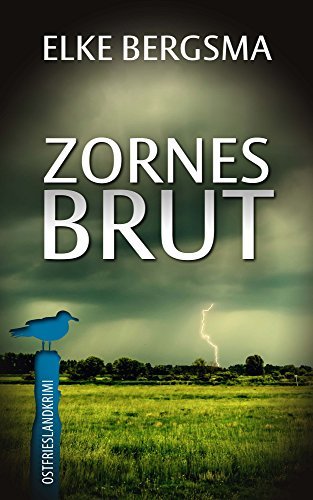 Zornesbrut - Ostfrieslandkrimi (Büttner und Hasenkrug ermitteln 17)