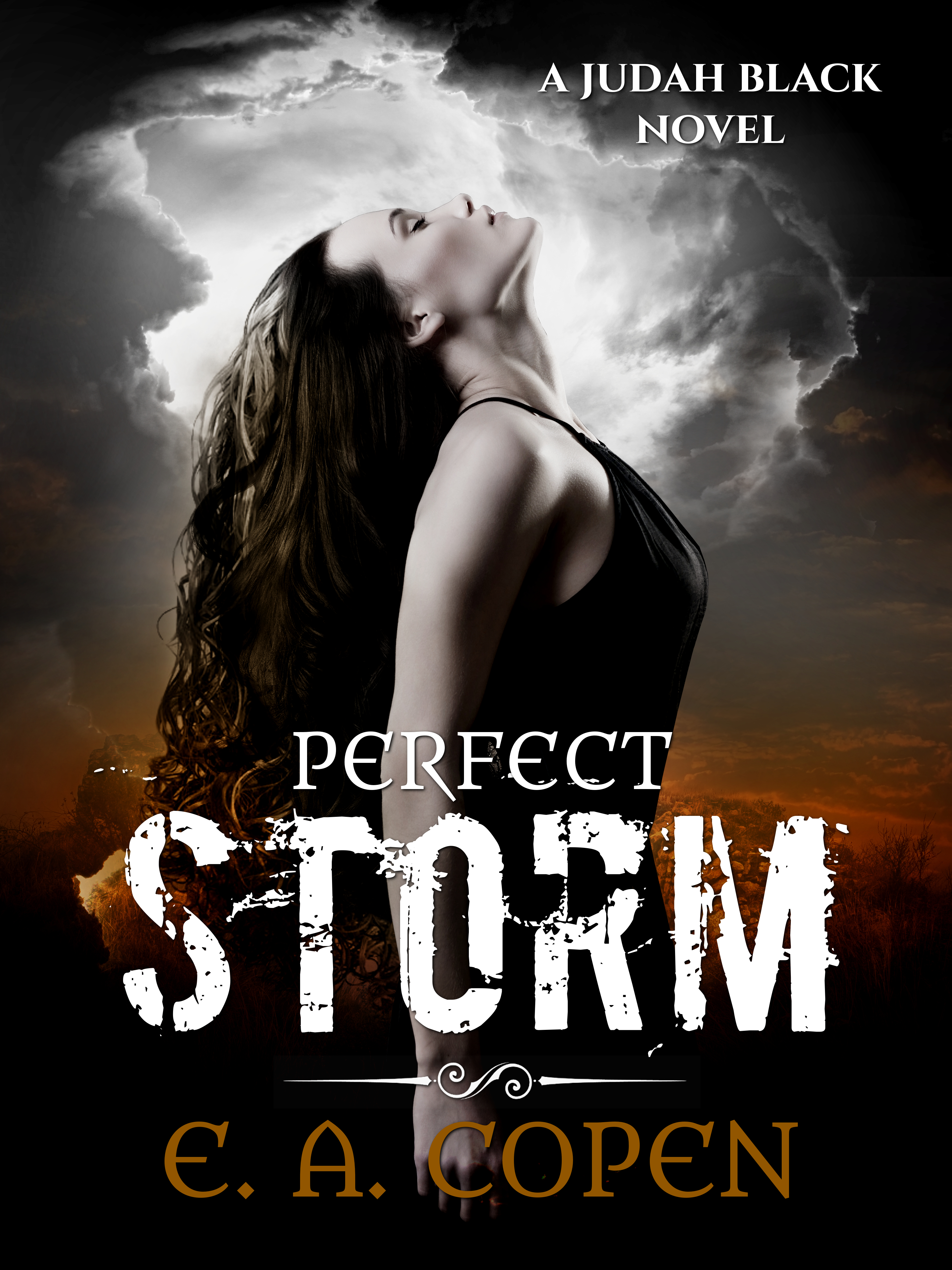Perfect Storm book cover