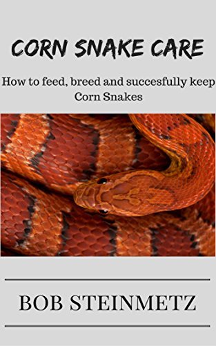 Beautiful view of New Snake Owner Feeding And Care Guide
