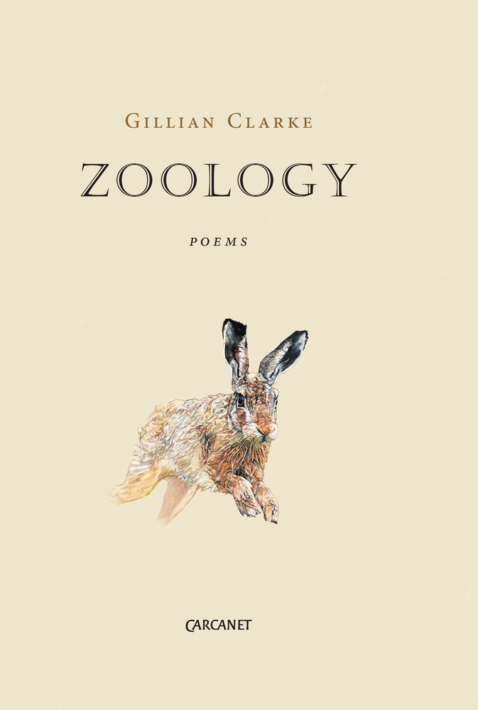 Zoology book cover