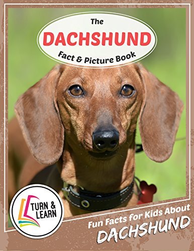 The Dachshund Fact and Picture Book: Fun Facts for Kids About Dachshund ...