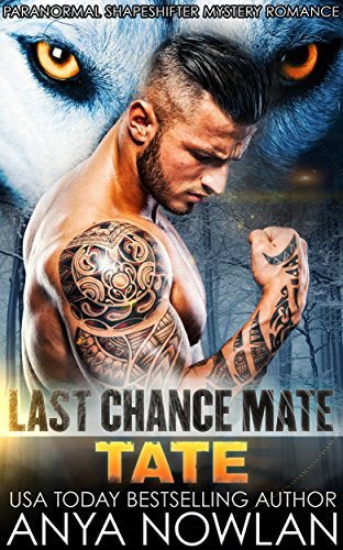 Last Chance Mate book cover 1