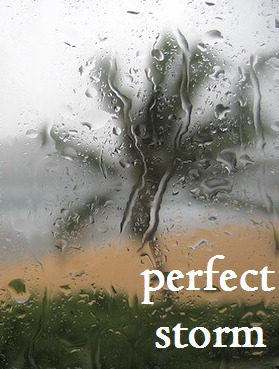 Perfect Storm