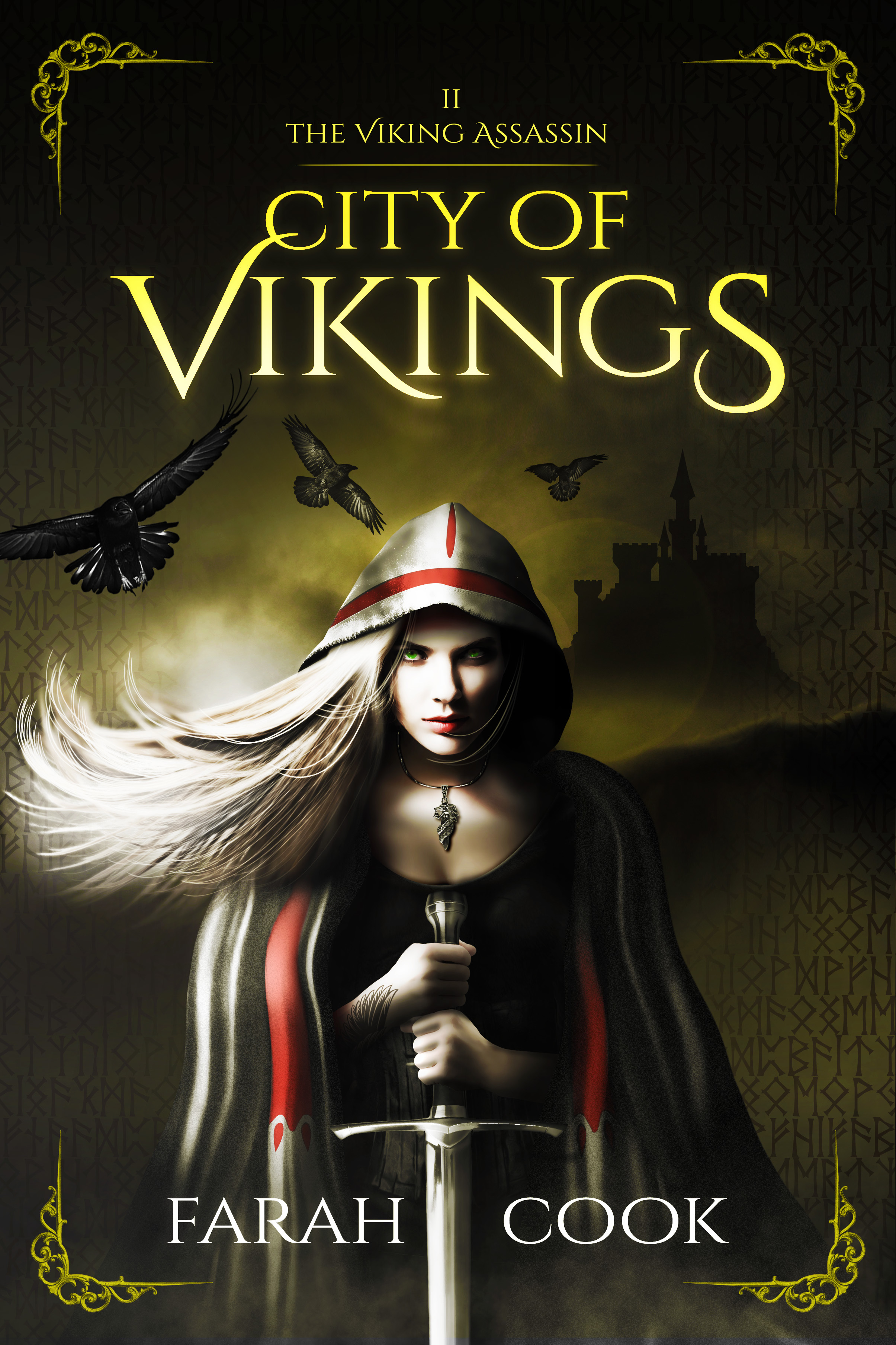 Book cover for City of Vikings by Farah Cook