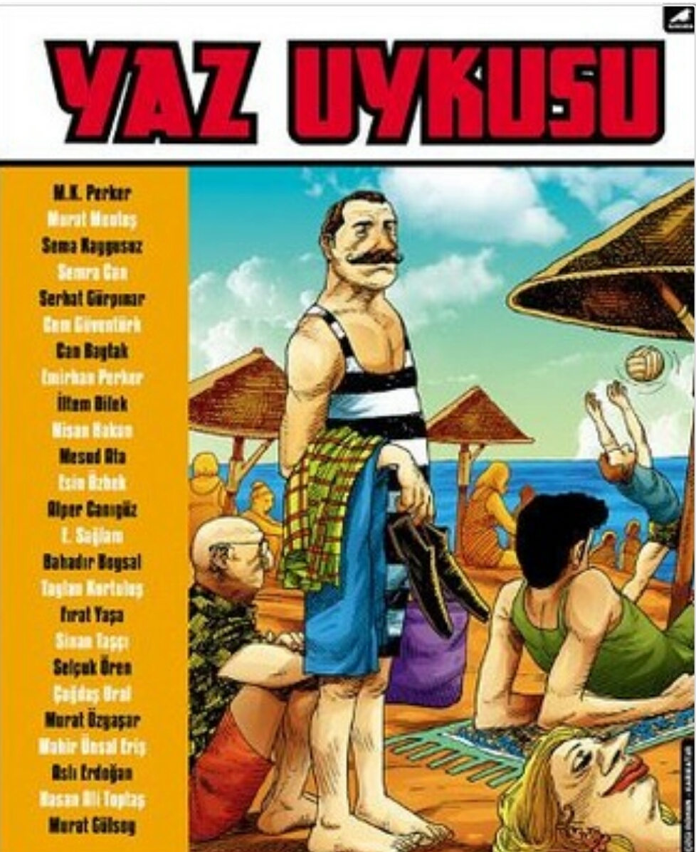 Yaz Uykusu book cover