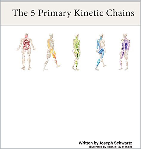 The Five Primary Kinetic Chains - Ebook