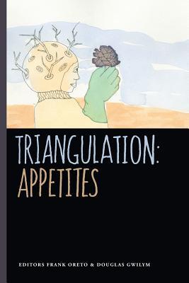 Triangulation book cover