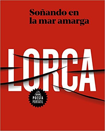 Soñando en la mar amarga book cover