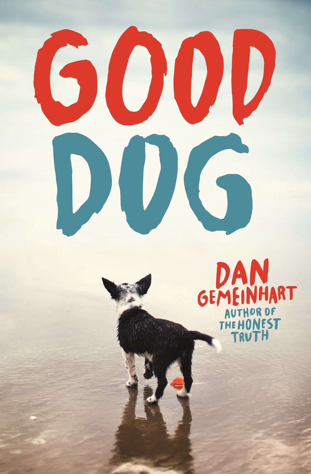 Good Dog by Dan Gemeinhart Goodreads