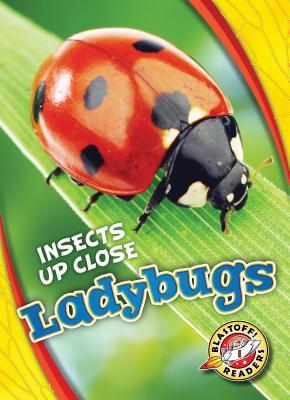 Ladybugs book cover