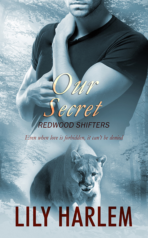 Our Secret book cover