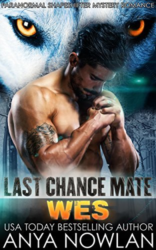 Last Chance Mate book cover 2