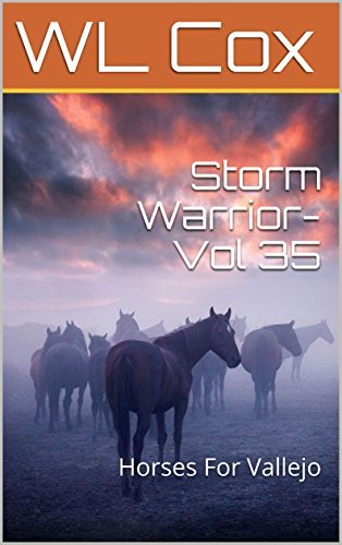 Storm Warrior-Vol 35 book cover
