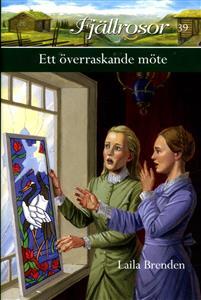 Ett överraskande möte book cover
