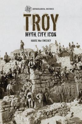 Troy book cover