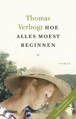 Hoe alles moest beginnen book cover