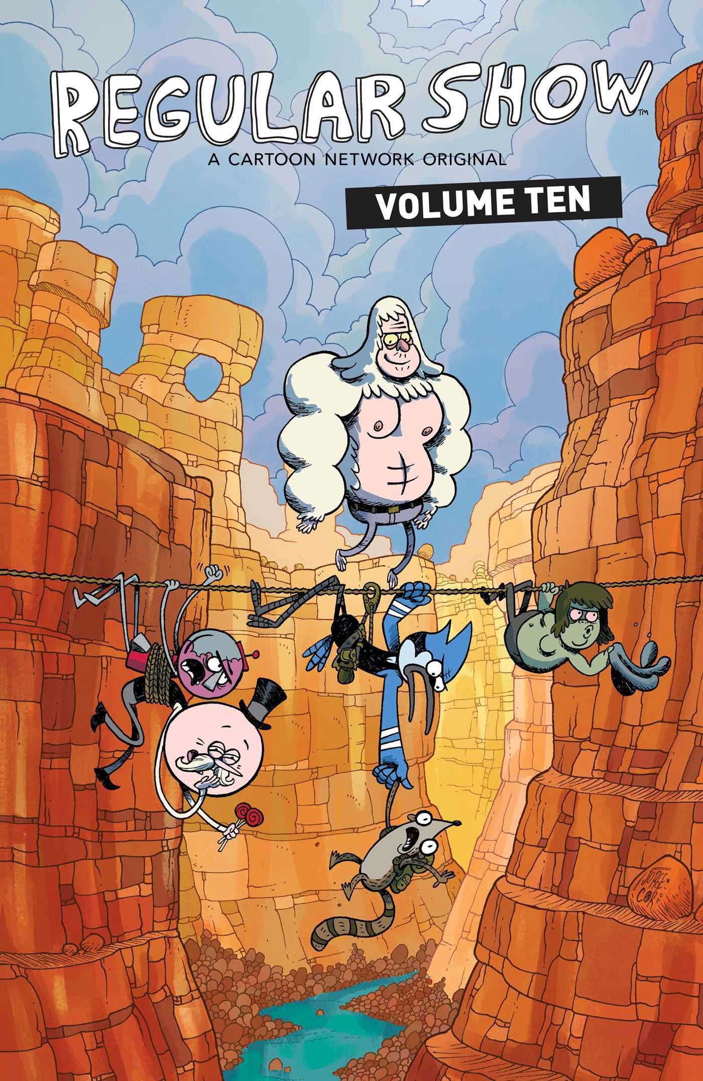 Regular Show book cover 3