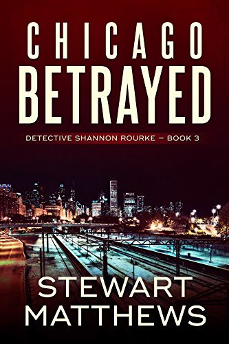Detective Shannon Rourke book cover 3