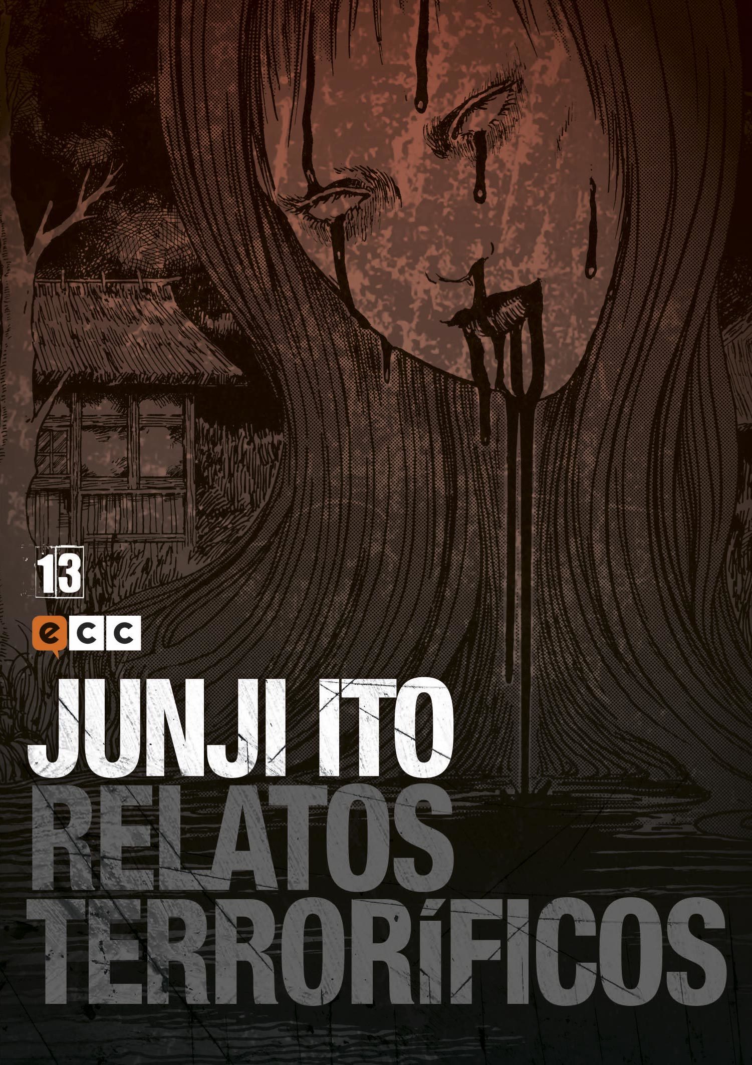 Relatos terroríficos 13 book cover
