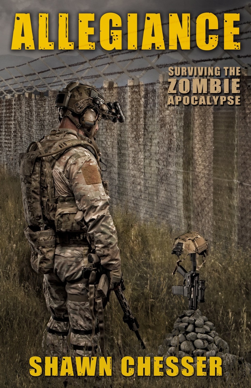 Allegiance book cover