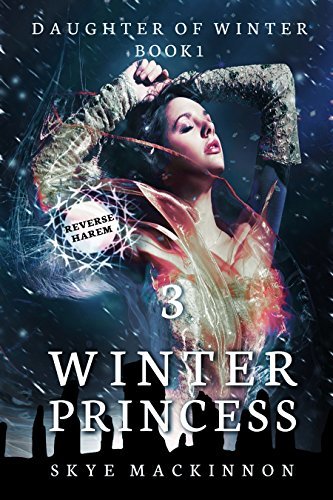 Winter Princess book cover