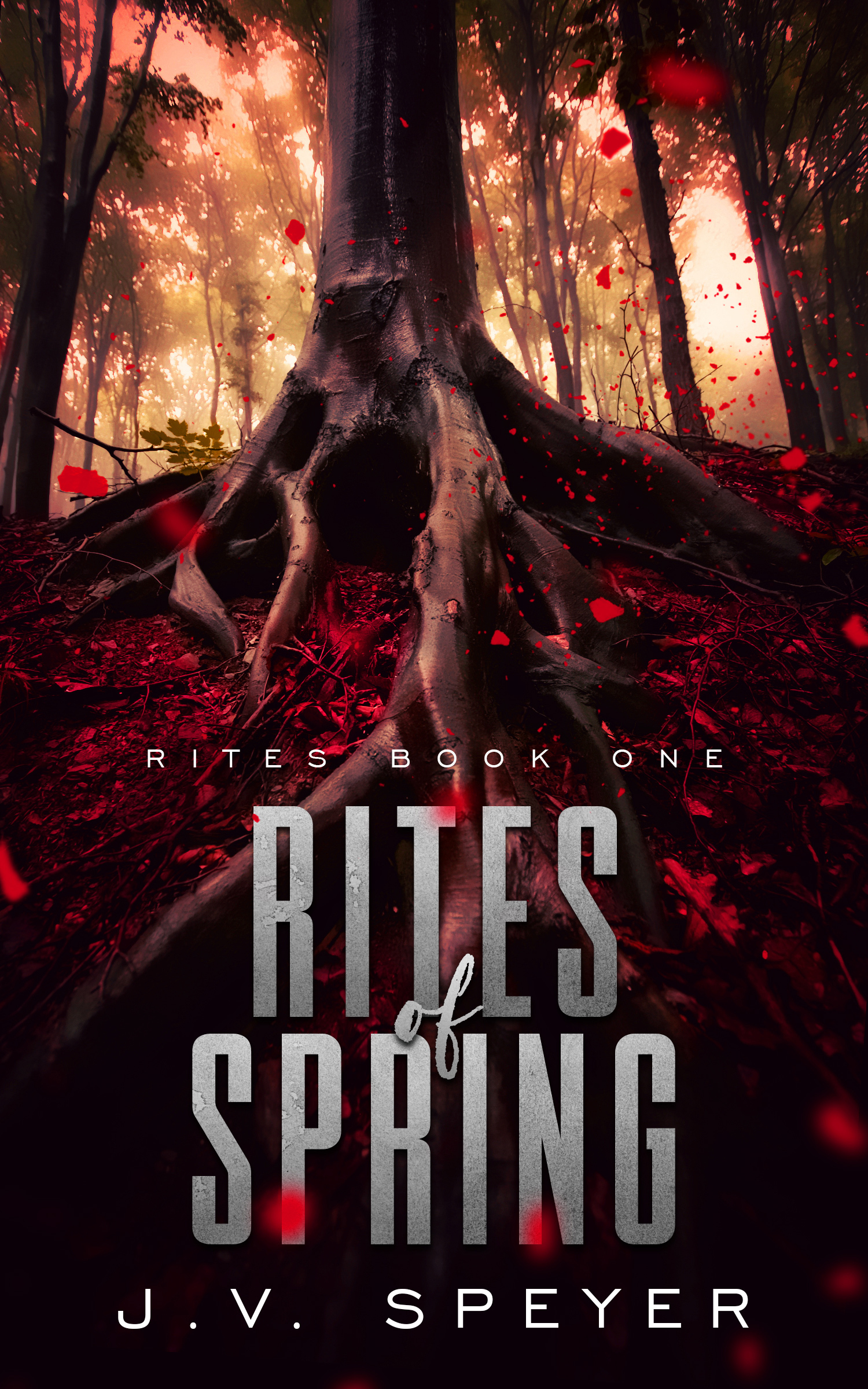 Rites book cover 1