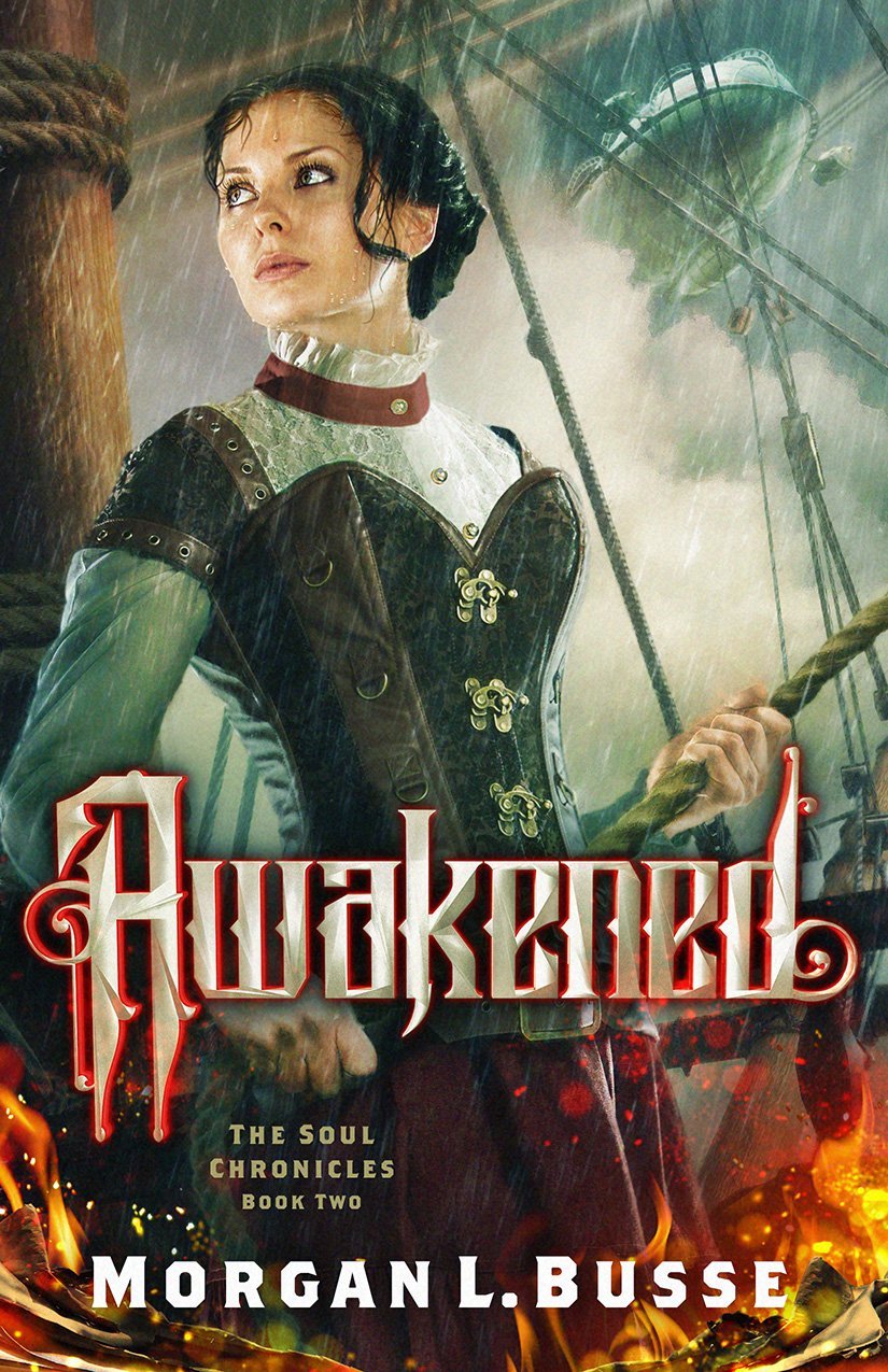 Soul Chronicles book cover 2