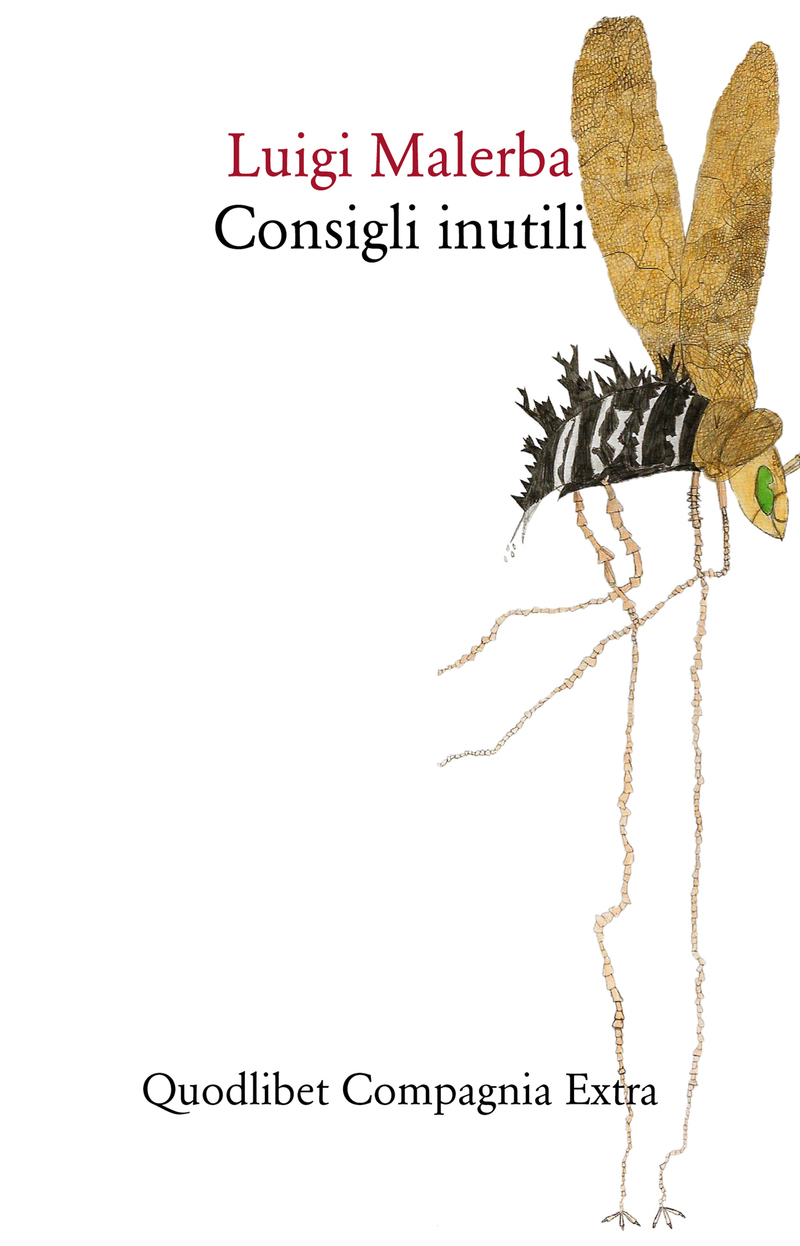 Consigli inutili book cover