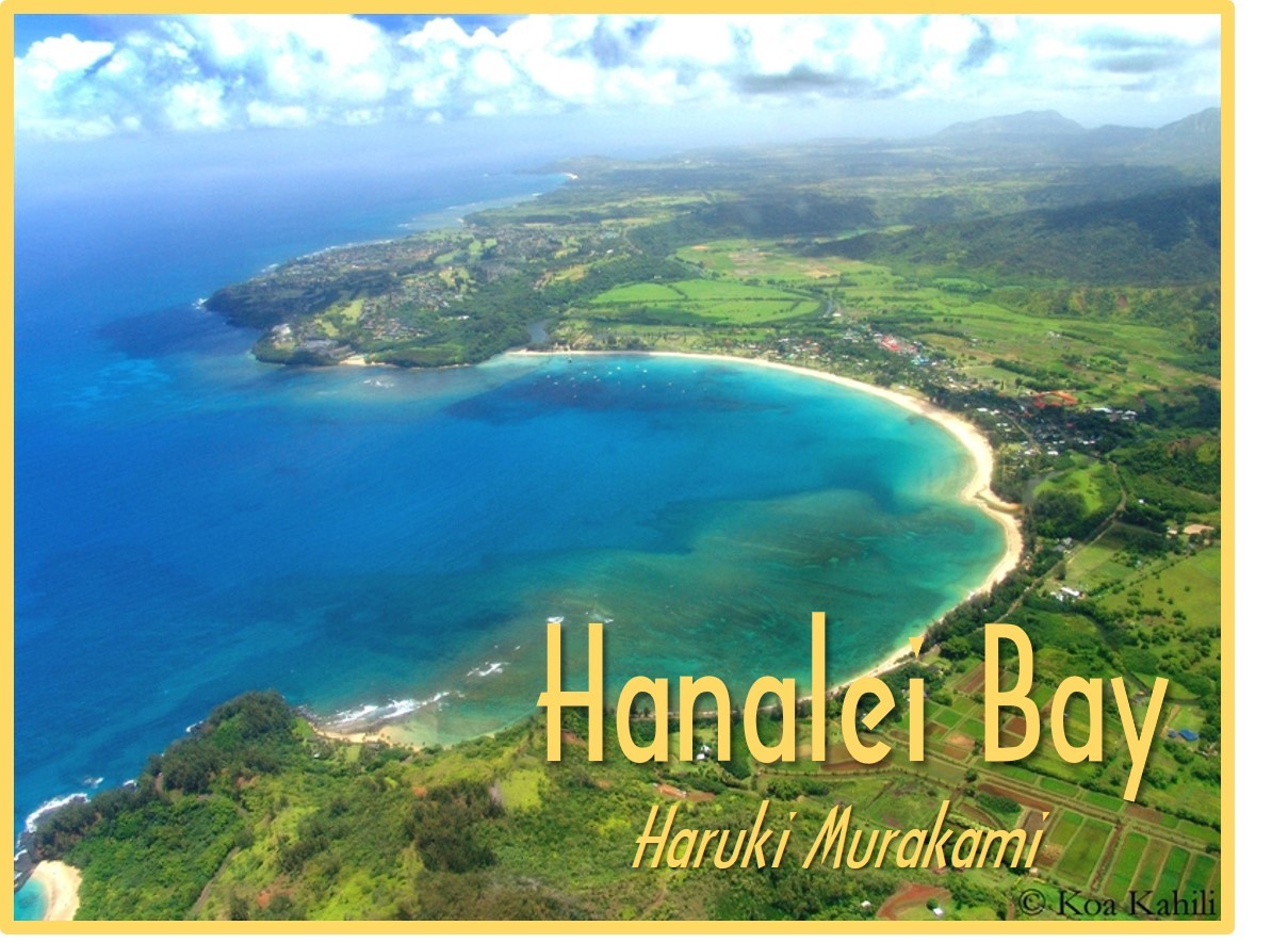 Hanalei Bay book cover