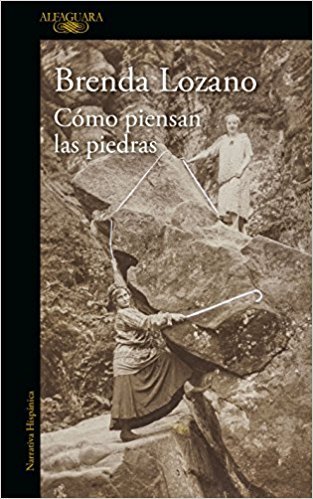 Cómo piensan las piedras book cover