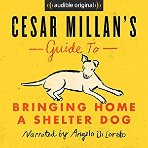 Cesar Millan's Guide to Bringing Home a Shelter Dog by Cesar Millan ...