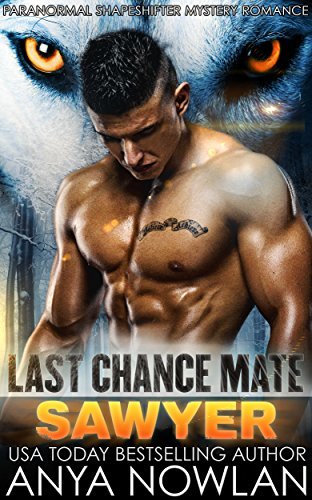 Last Chance Mate book cover 3
