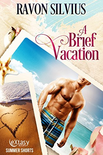 A Brief Vacation book cover